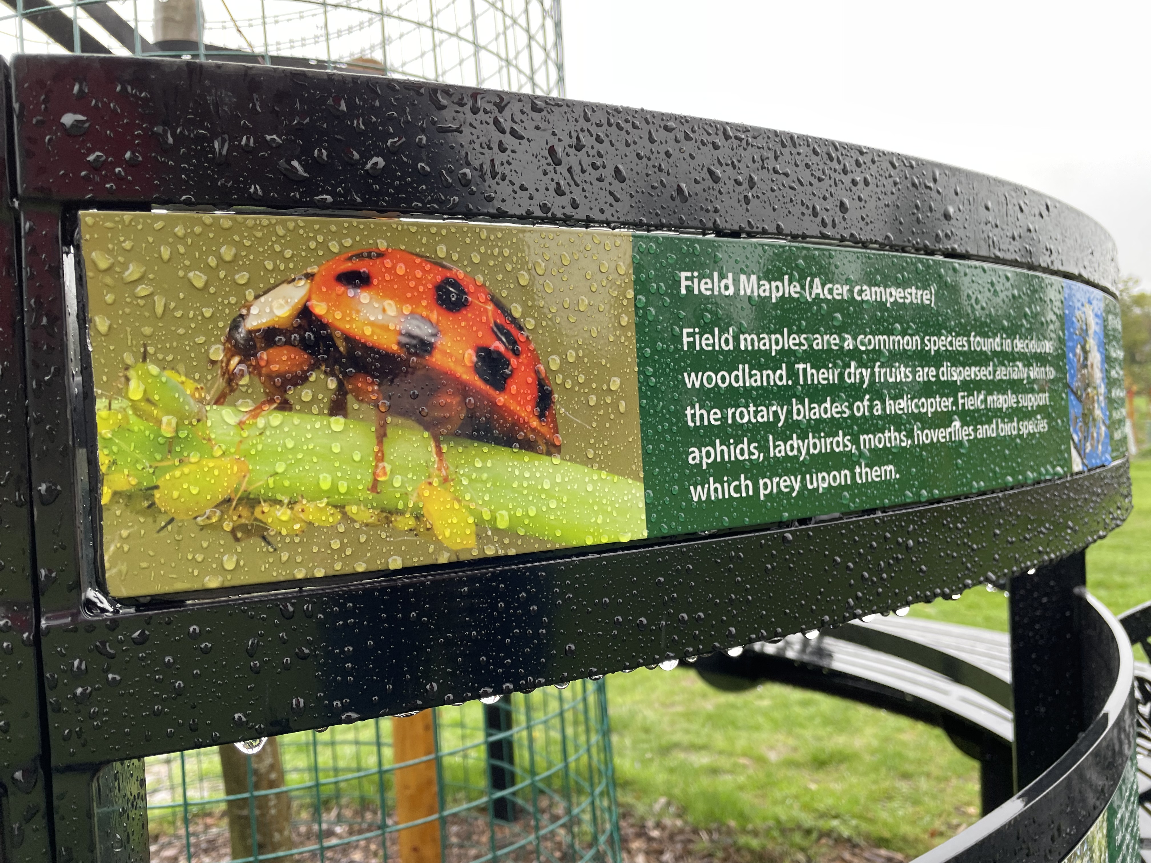 Close-up of the bench at the centre of the Barnet Memorial Woodland