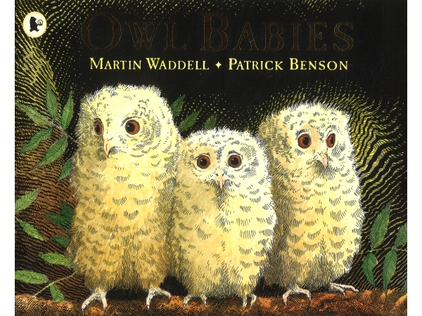 Book cover for Martin Waddell's Owl Babies - an image of three owlets