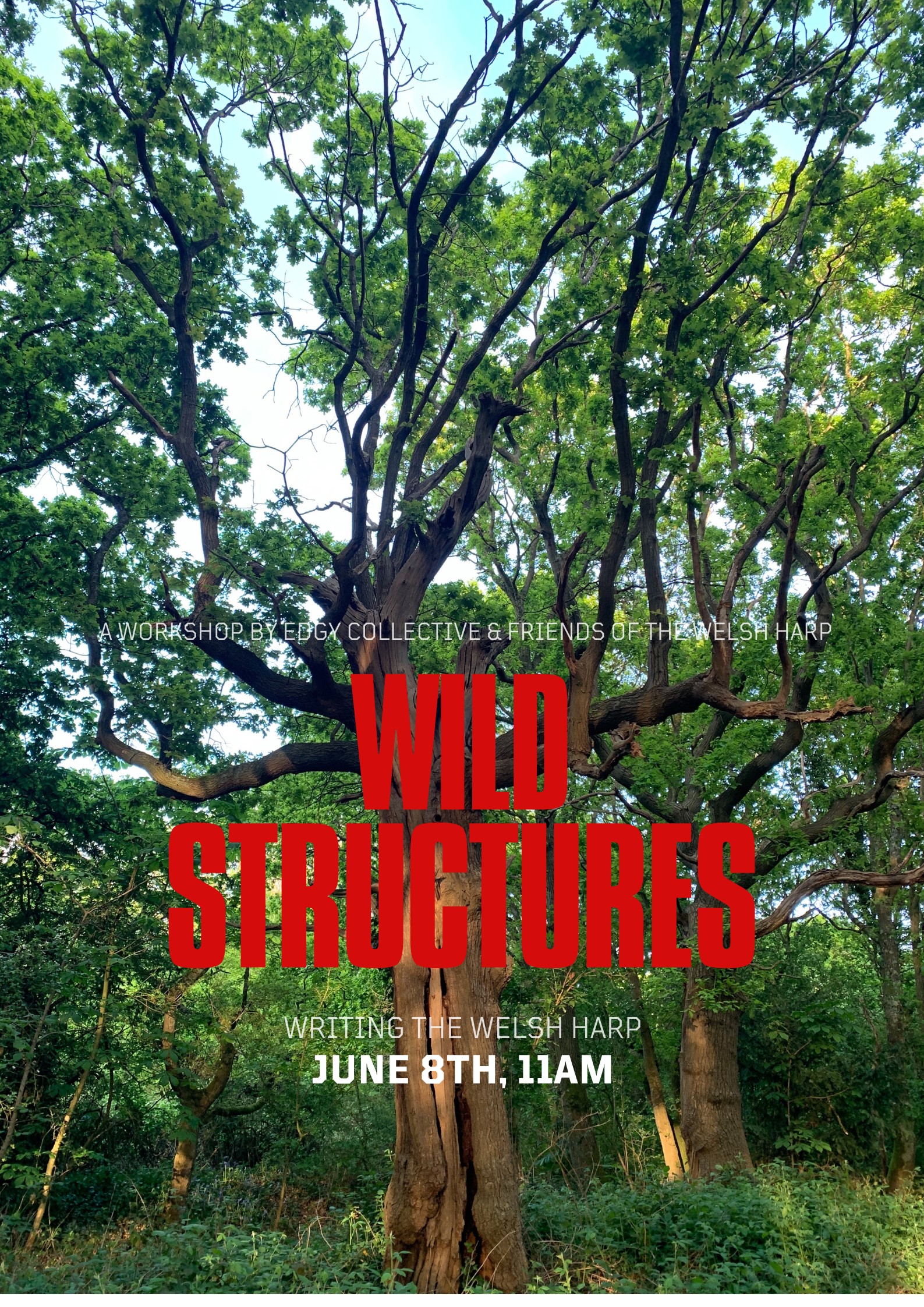 Wild Structures