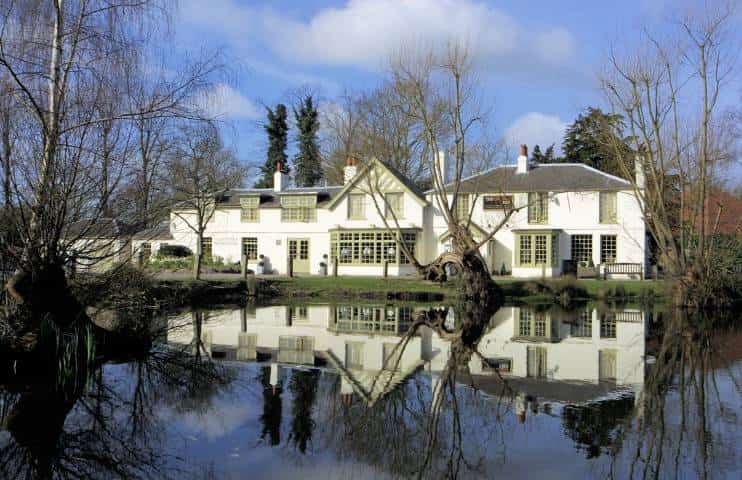 Totteridge Orange Tree