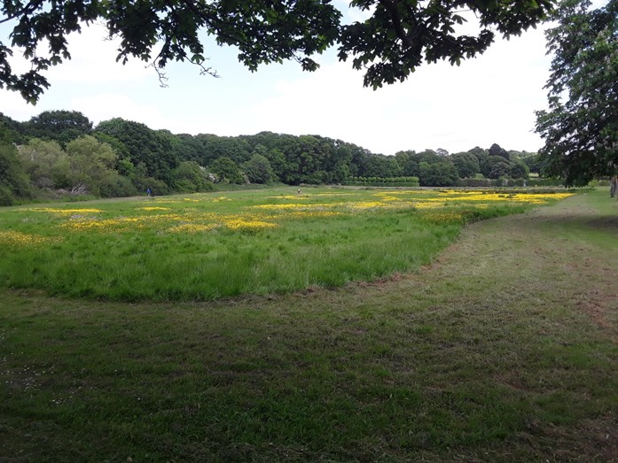 The area of grassland at Oak Hill Park that is managed under cut and lift meadow management.