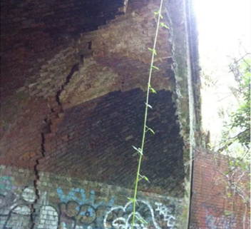 Crack under Sanders Lane Bridge