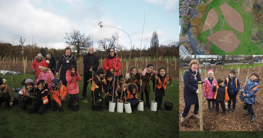The Worshipful Mayor of Barnet is joined by children from Brookland Infant School, Hampstead Garden Suburb, to plant the new memorial woodland in Mill Hill Park.