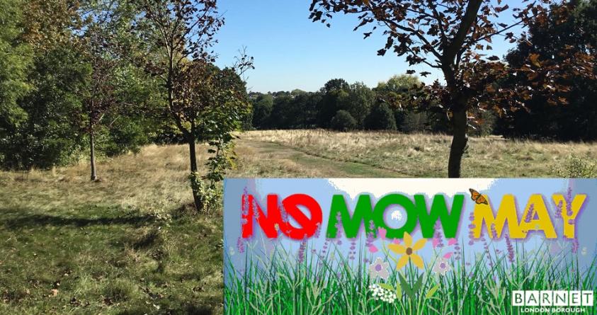 No Mow May
