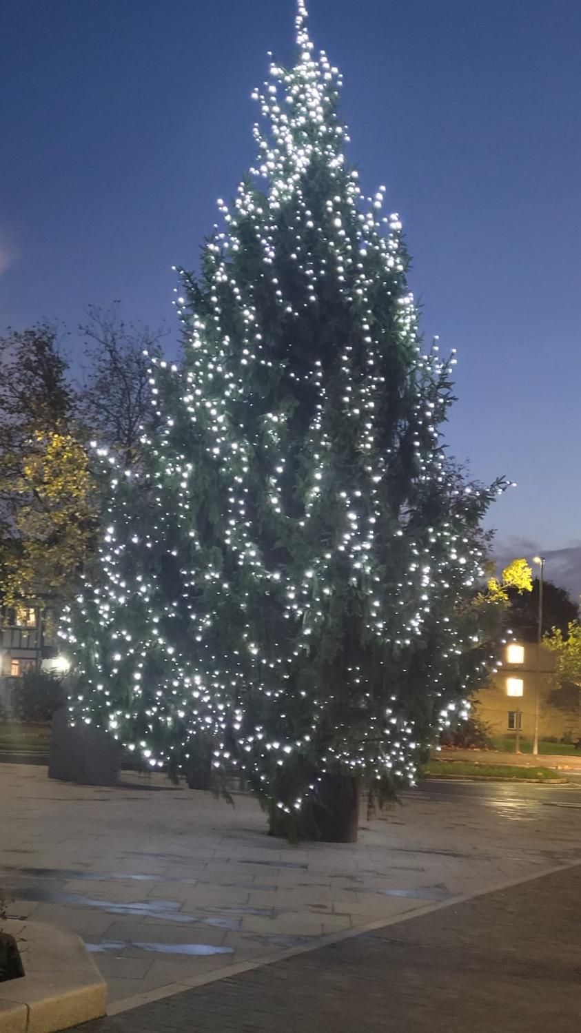 Colindale Christmas Tree