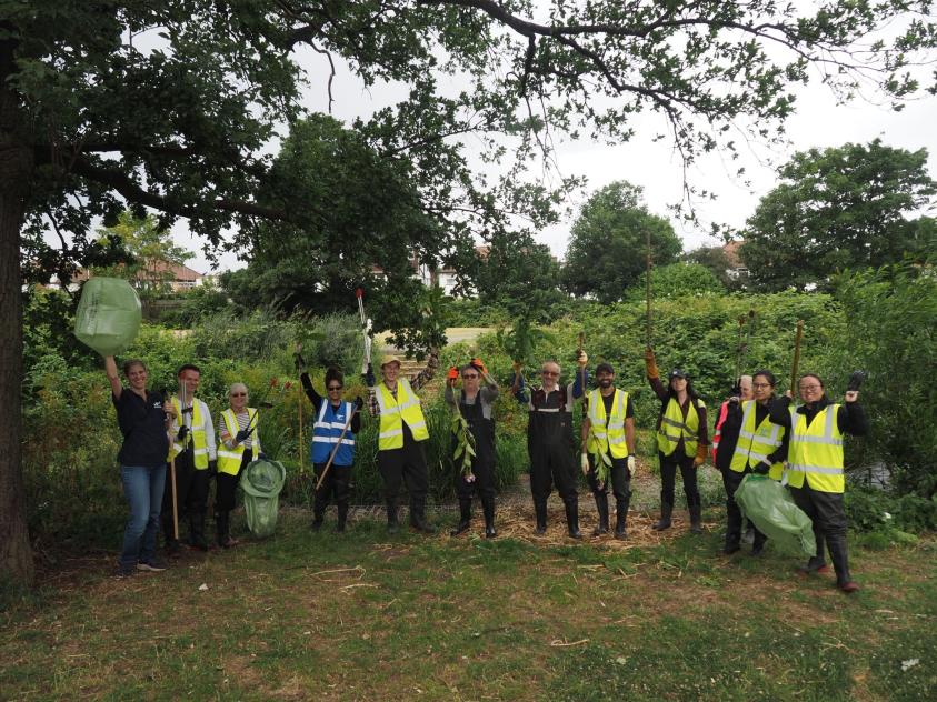Barnet Climate Action Month - Volunteers cleared 220 metres of invasive plant species from the Silk Stream