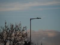 Streetlight