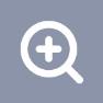 magnifier icon