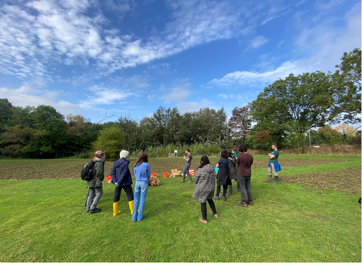 Volunteers seeding a Tiny Meadow with Earthwatch in autumn 2024.
